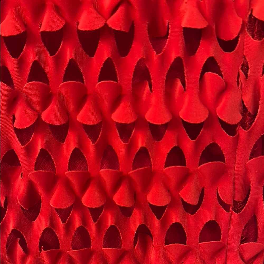 Chic Red Textured Dress - Picture 5 of 6